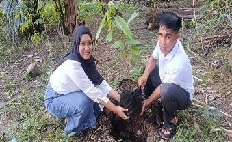 Pohon Agustus 10