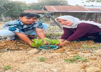 Pohon Agustus 18