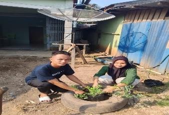 Pohon Agustus 2
