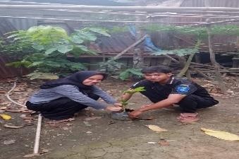 Pohon Agustus 21