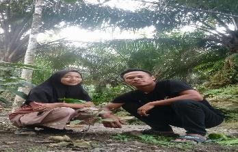 Pohon Agustus 22