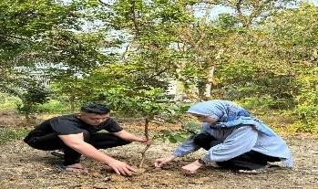 Pohon Agustus 23