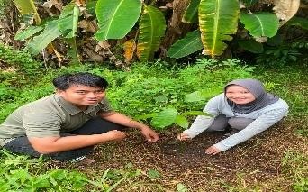 Pohon Agustus 3