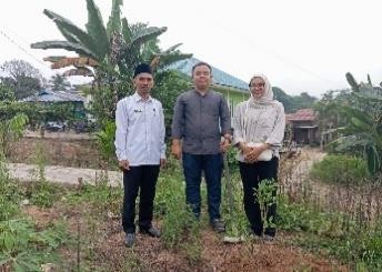 Pohon Agustus 7