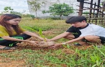 Pohon Februari 3