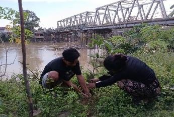 Pohon Februari 9
