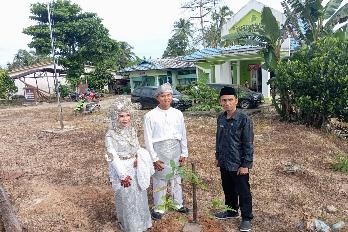 Pohon Januari 17
