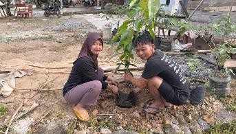 Pohon Januari 21