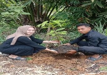 Pohon Januari 24