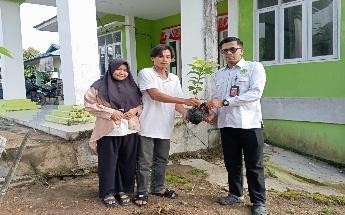 Pohon Juli 10