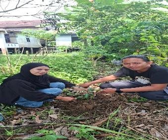 Pohon Juli 13