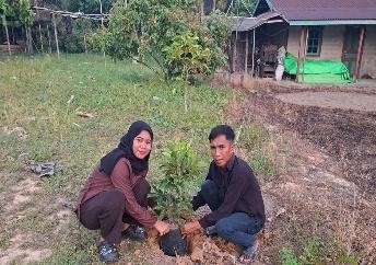 Pohon Juli 14
