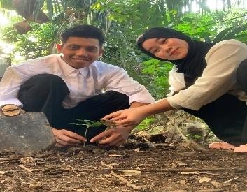 Pohon Juli 15