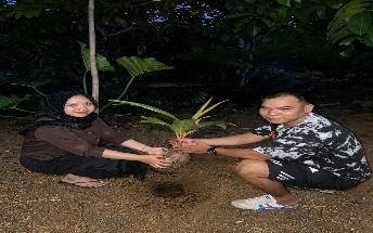 Pohon Juli 17