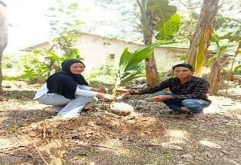 Pohon Juli 24