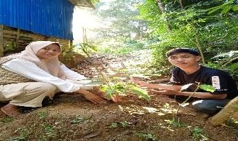Pohon Juli 25
