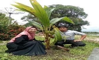 Pohon Juli 3
