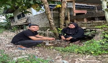Pohon Juli 5