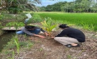 Pohon Juli 7