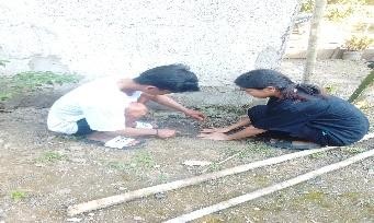 Pohon Juli 9