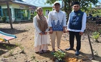 Pohon Juni 1