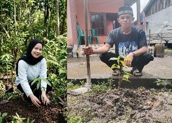 Pohon Juni 10
