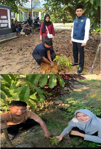 Pohon Juni 19