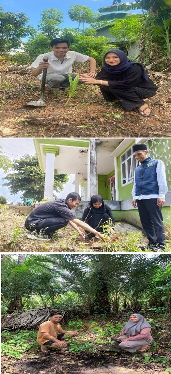 Pohon Juni 2