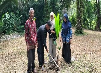 Pohon Juni 21