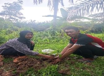 Pohon Juni 22
