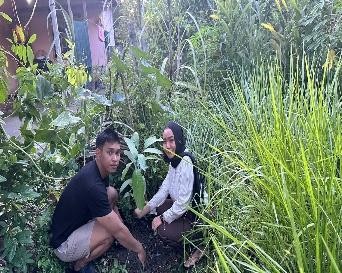 Pohon Juni 23