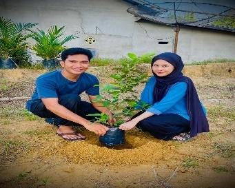 Pohon Juni 24