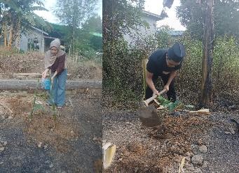 Pohon Juni 25