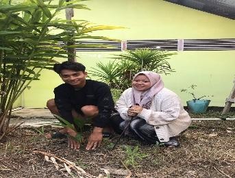 Pohon Juni 26