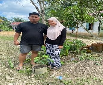Pohon Juni 29
