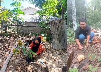 Pohon Juni 35