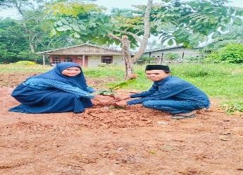 Pohon Juni 39