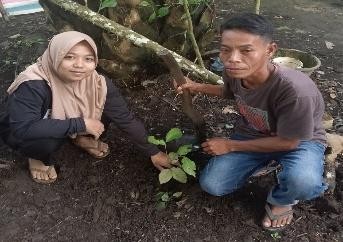 Pohon Juni 40