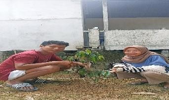 Pohon Juni 5