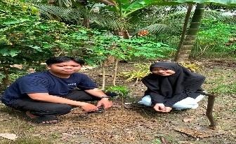 Pohon Juni 52