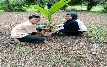 Pohon Juni 57