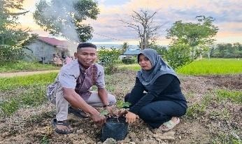 Pohon Juni 60
