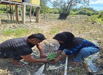 Pohon Juni 64