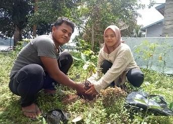 Pohon Juni 66
