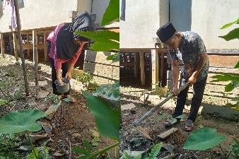 Pohon Juni 67