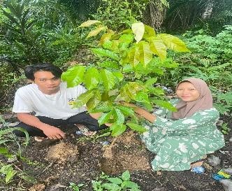 Pohon Juni 68