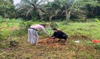 Pohon Maret 10
