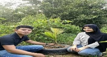 Pohon Maret 11