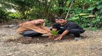 Pohon Maret 4