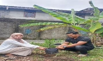 Pohon Maret 5